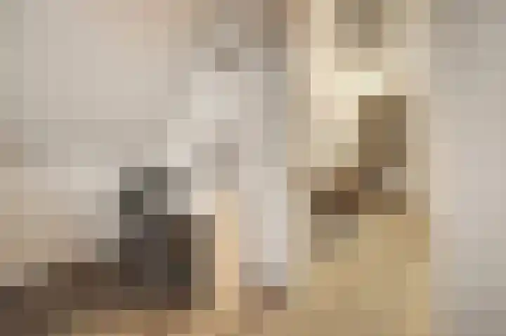Zonnebaars 11 Rossum thumbnail 34