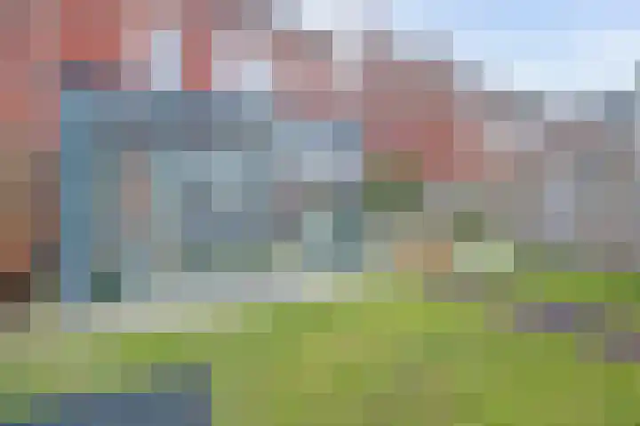 Zonnebaars 11 Rossum thumbnail 36
