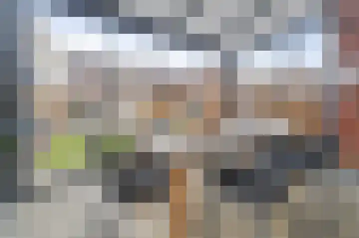 Zonnebaars 11 Rossum thumbnail 39