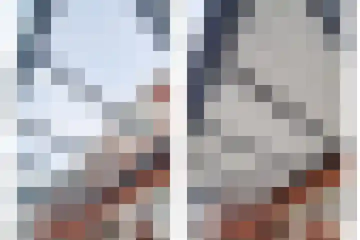 Zonnebaars 11 Rossum thumbnail 40