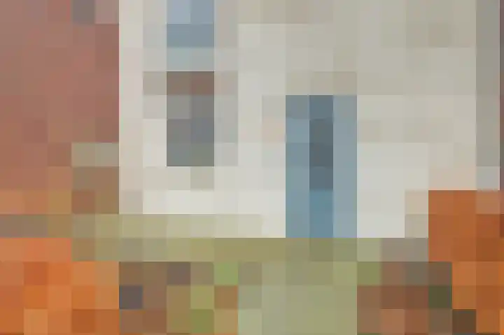 Zonnebaars 11 Rossum thumbnail 45