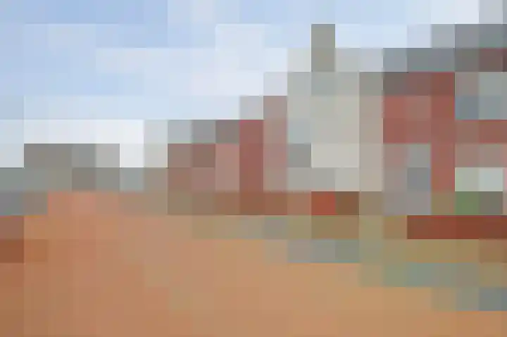 Zonnebaars 11 Rossum thumbnail 46