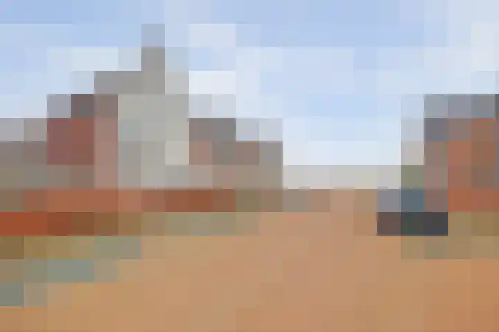 Zonnebaars 11 Rossum thumbnail 47
