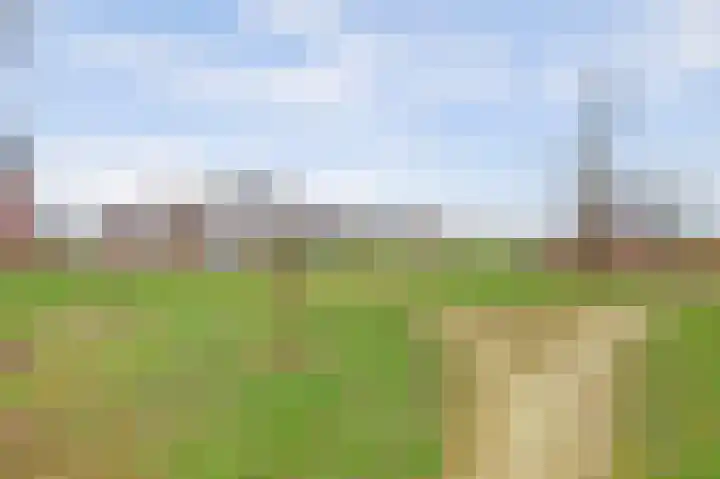 Zonnebaars 11 Rossum thumbnail 48