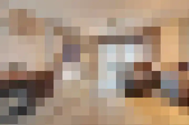 Zonnebaars 11 Rossum thumbnail 8