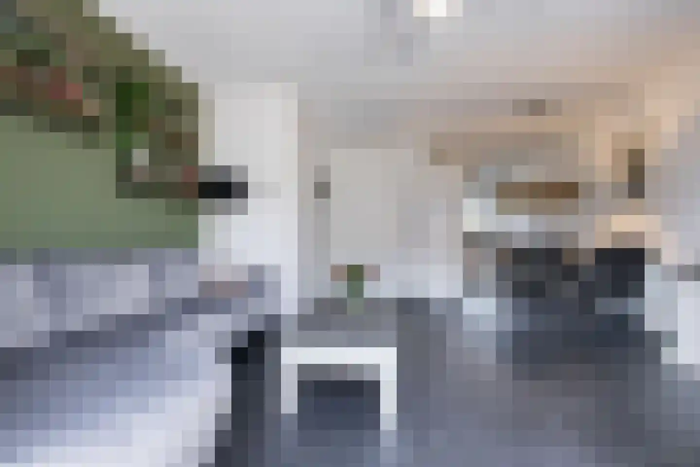 Zonnebaars 15 Rossum thumbnail 11
