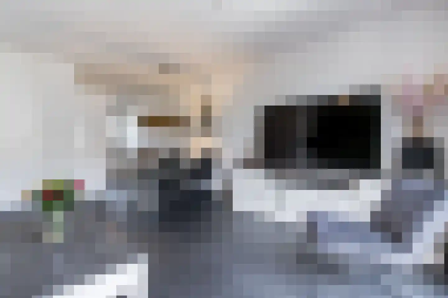 Zonnebaars 15 Rossum thumbnail 12
