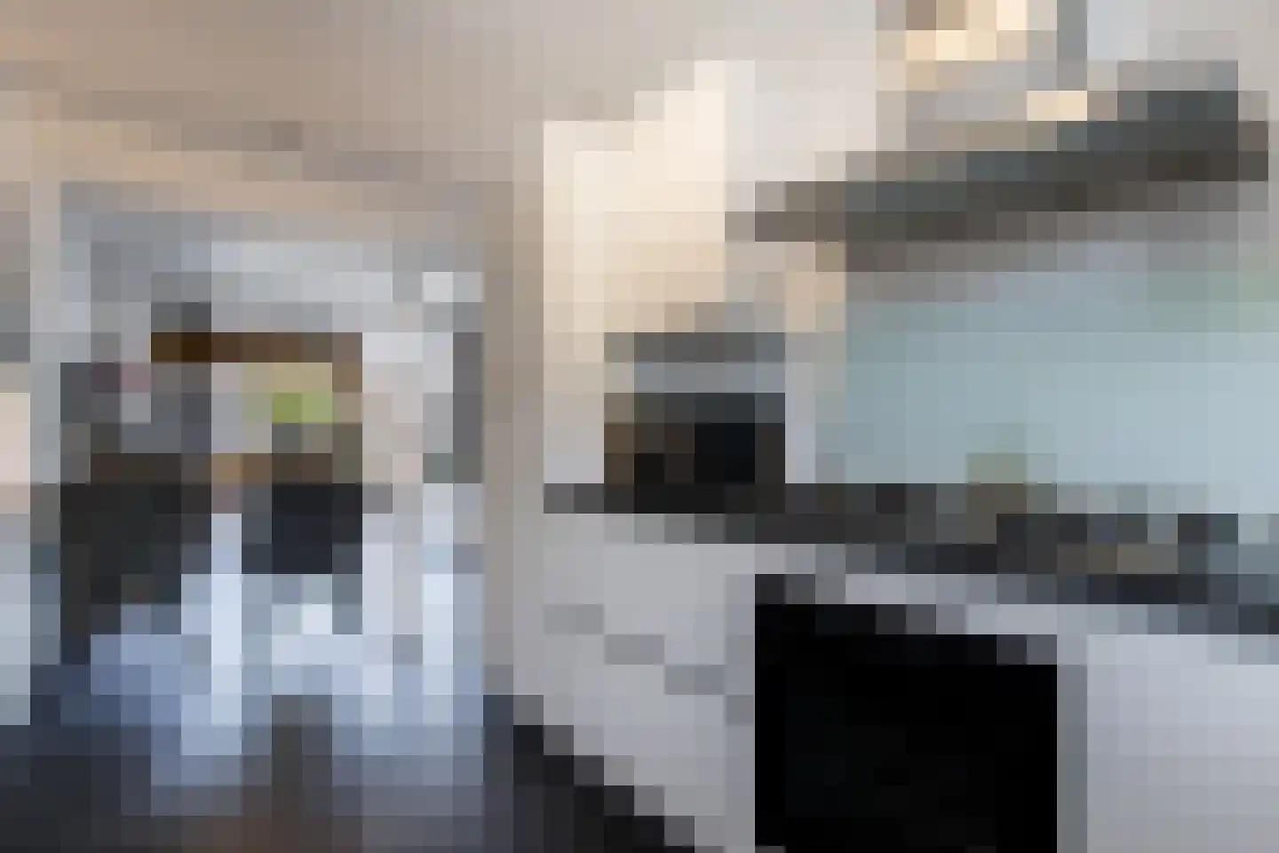 Zonnebaars 15 Rossum thumbnail 15