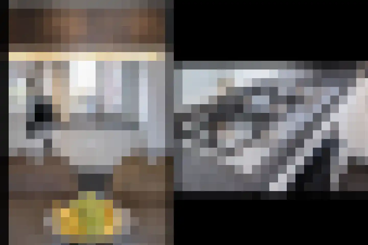 Zonnebaars 15 Rossum thumbnail 16
