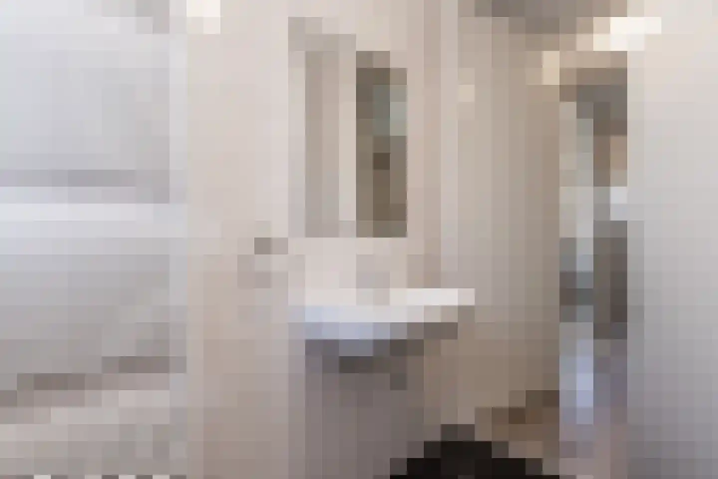 Zonnebaars 15 Rossum thumbnail 29