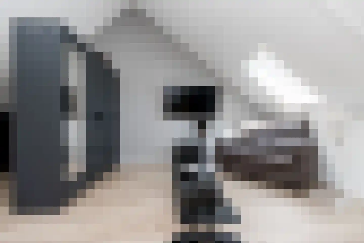 Zonnebaars 15 Rossum thumbnail 30