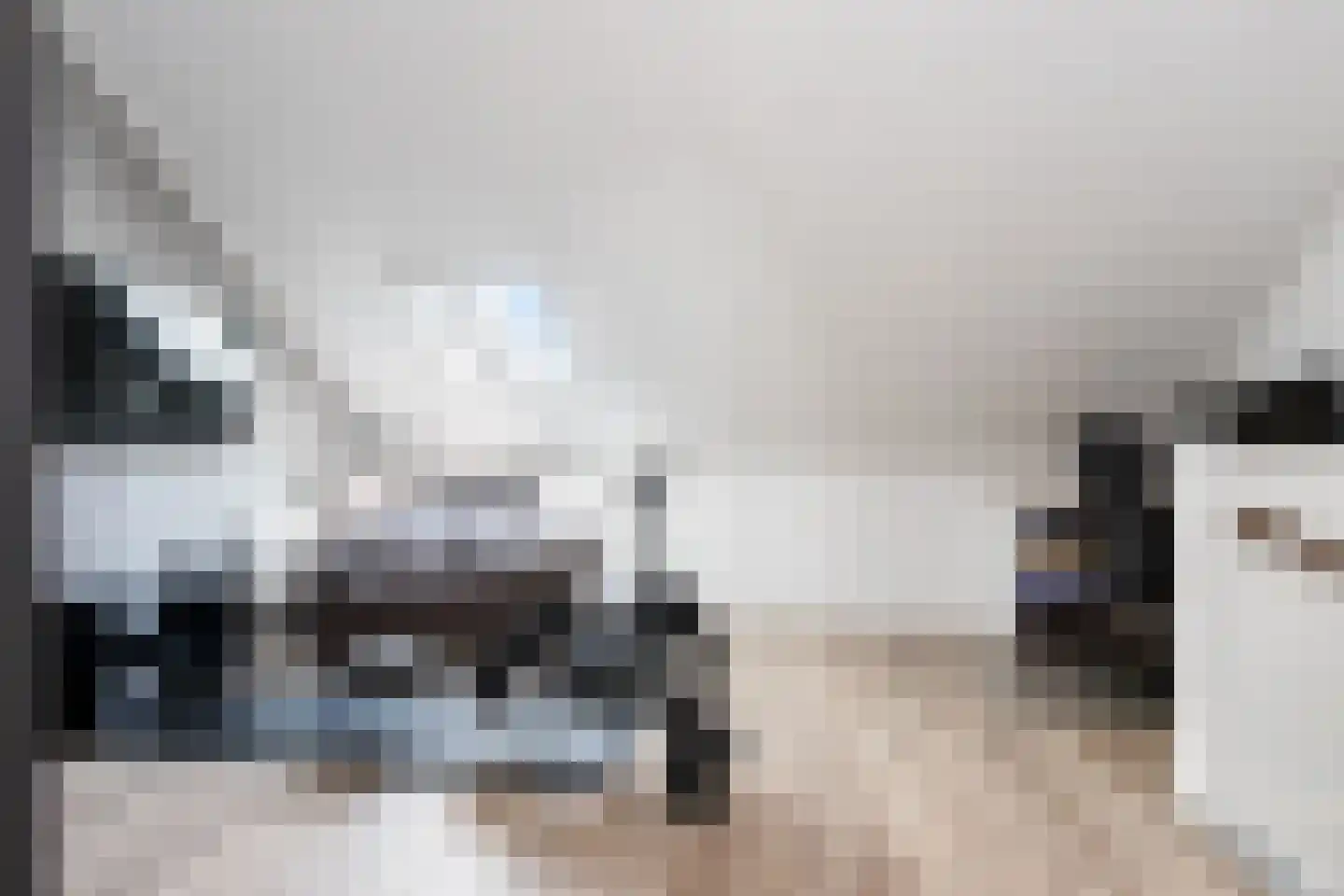 Zonnebaars 15 Rossum thumbnail 31