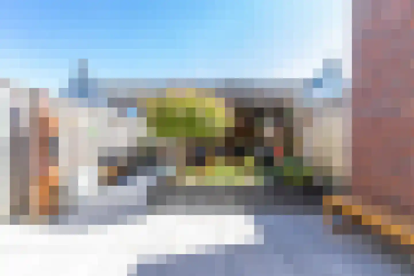Zonnebaars 15 Rossum thumbnail 33