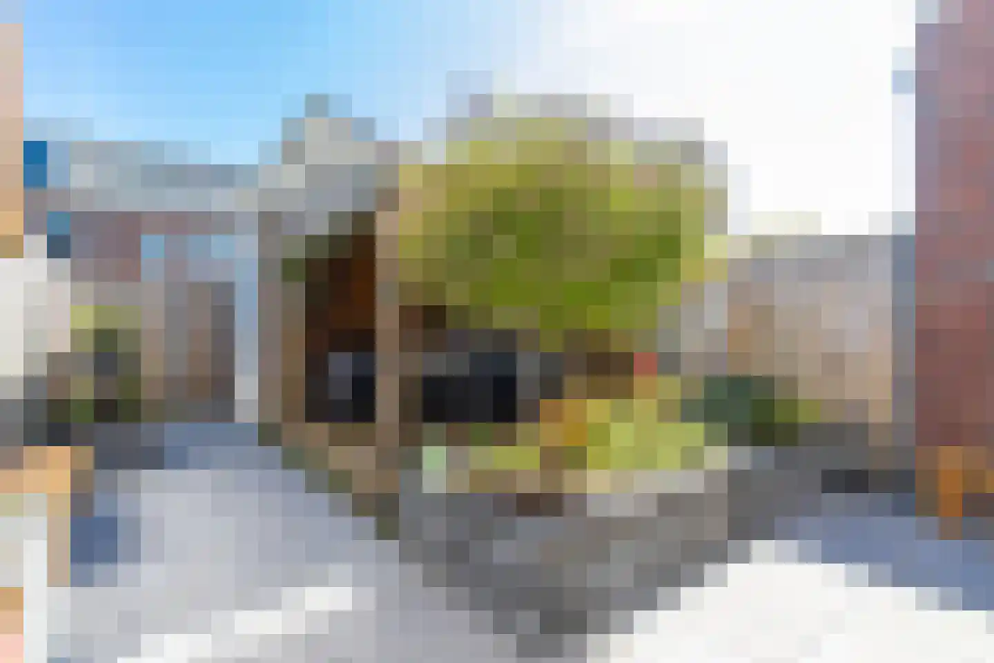 Zonnebaars 15 Rossum thumbnail 34