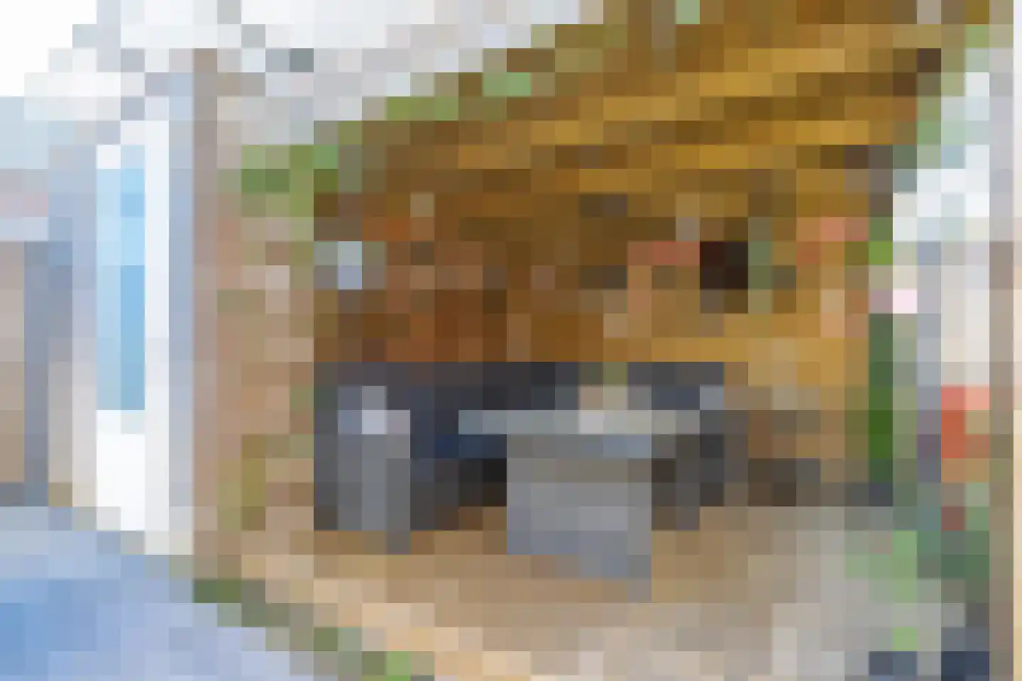 Zonnebaars 15 Rossum thumbnail 35