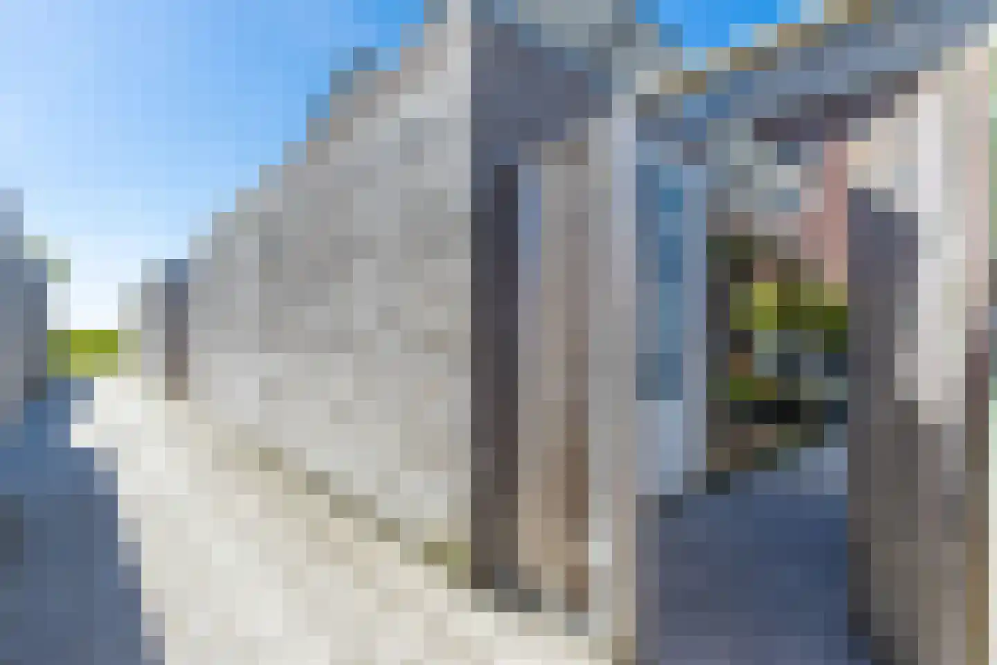 Zonnebaars 15 Rossum thumbnail 36