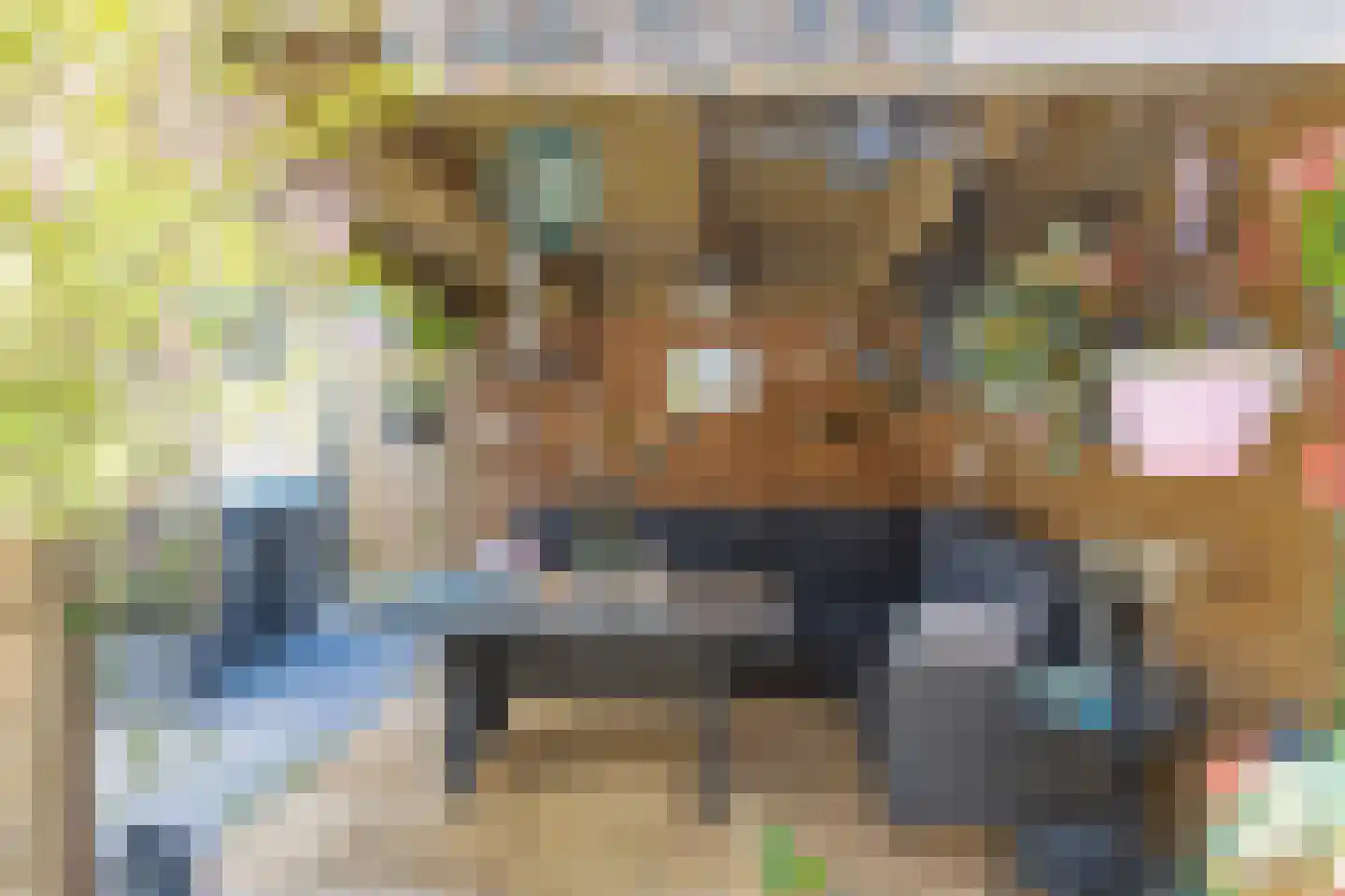 Zonnebaars 15 Rossum thumbnail 39