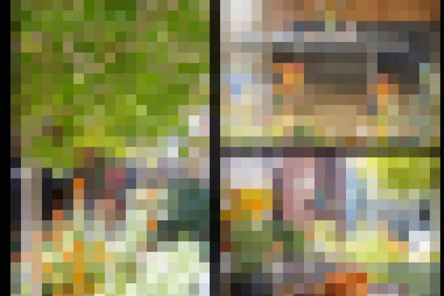 Zonnebaars 15 Rossum thumbnail 40