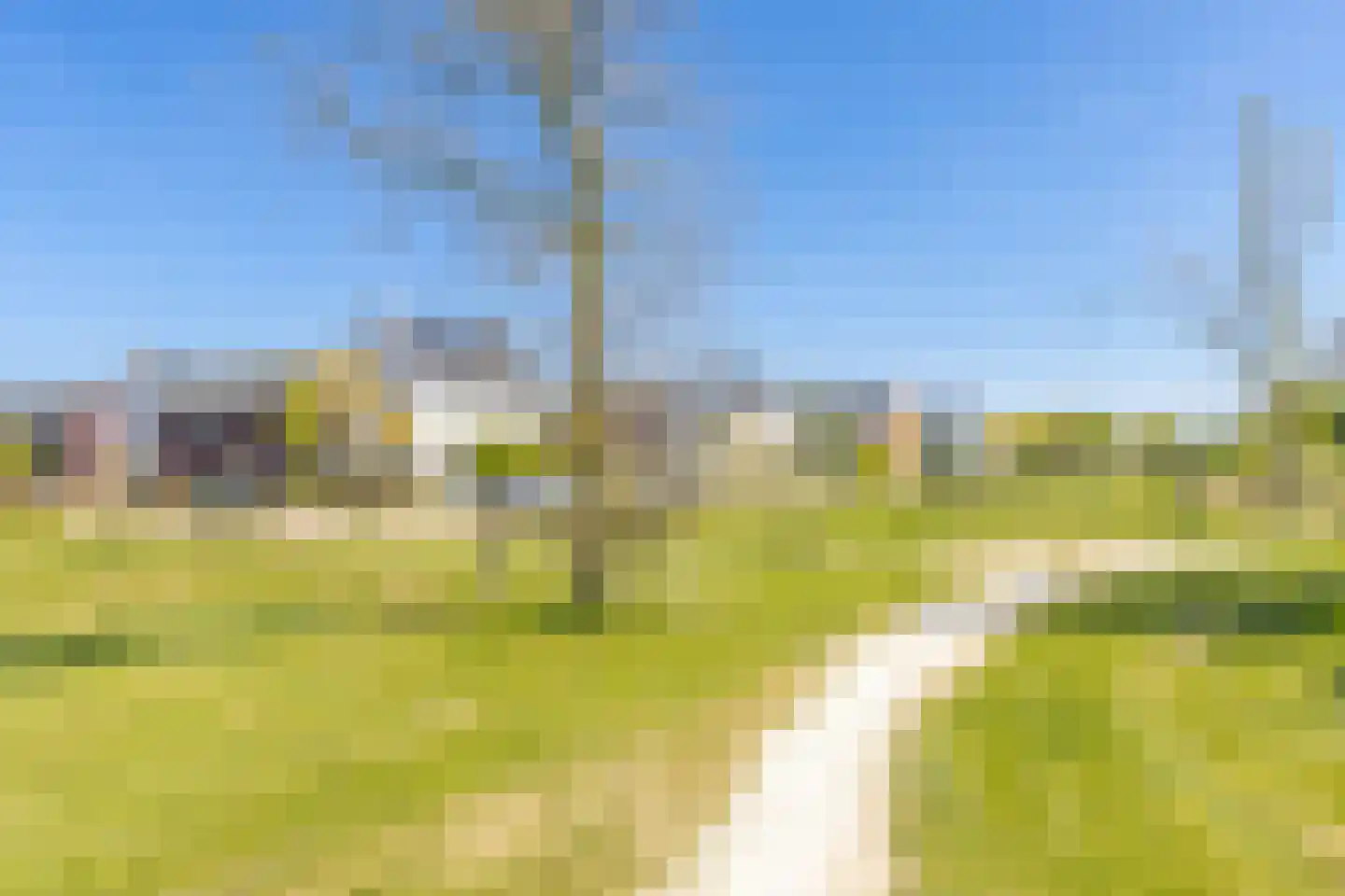 Zonnebaars 15 Rossum thumbnail 48