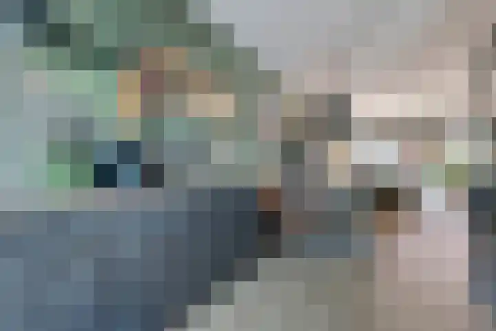 Zonnebaars 31 Waddinxveen thumbnail 10