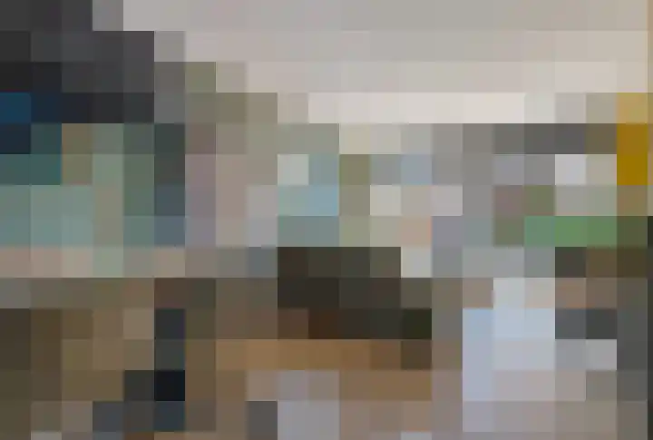 Zonnebaars 31 Waddinxveen thumbnail 13