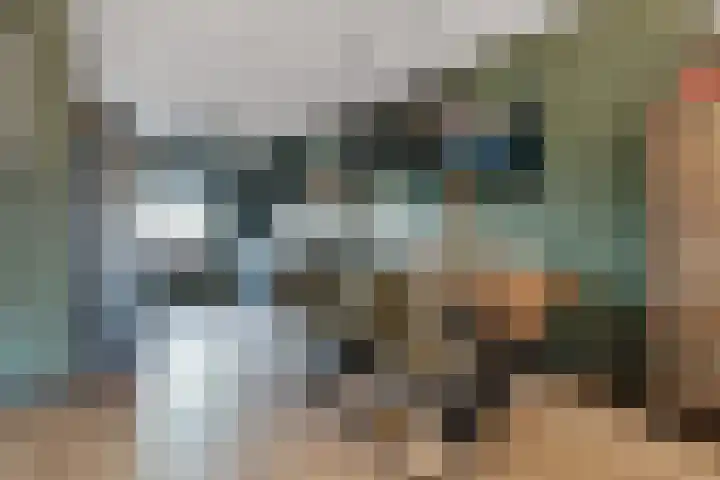 Zonnebaars 31 Waddinxveen thumbnail 14