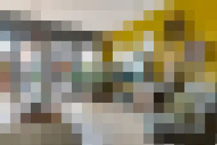 Zonnebaars 31 Waddinxveen thumbnail 16