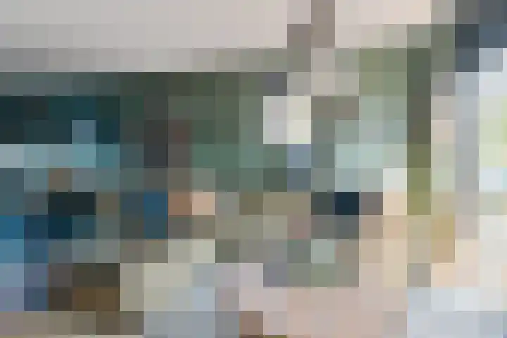 Zonnebaars 31 Waddinxveen thumbnail 17