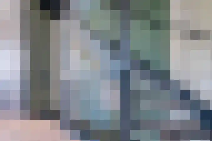 Zonnebaars 31 Waddinxveen thumbnail 18