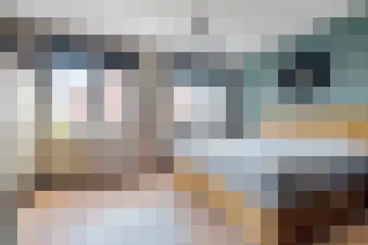 Zonnebaars 31 Waddinxveen thumbnail 20