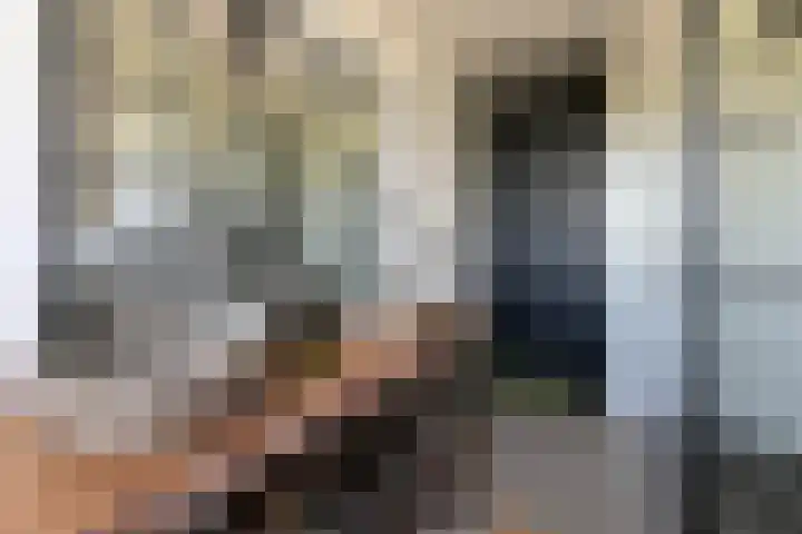 Zonnebaars 31 Waddinxveen thumbnail 21
