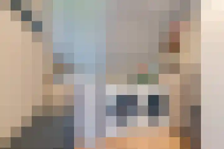 Zonnebaars 31 Waddinxveen thumbnail 27