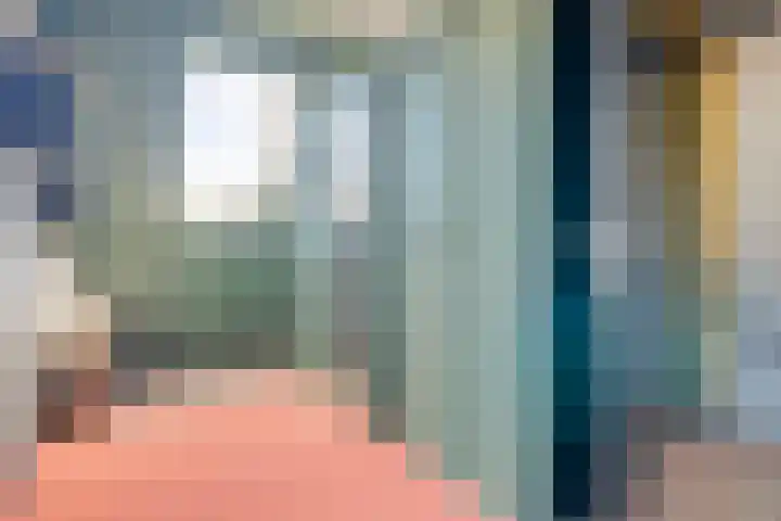 Zonnebaars 31 Waddinxveen thumbnail 28