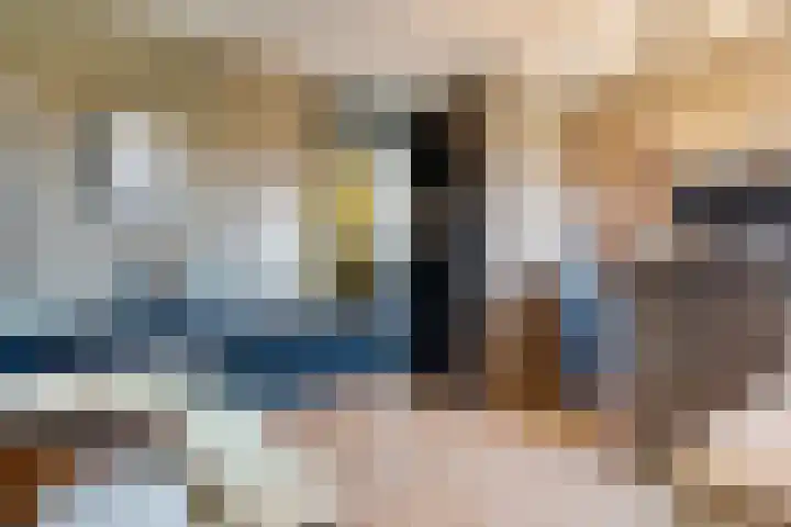 Zonnebaars 31 Waddinxveen thumbnail 29