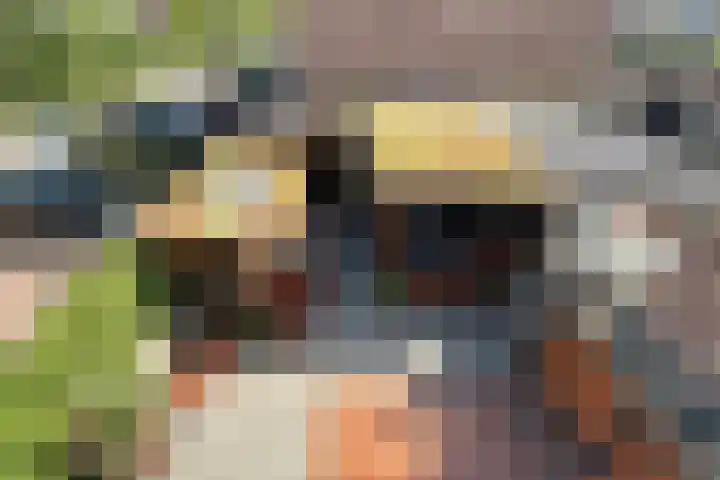 Zonnebaars 31 Waddinxveen thumbnail 32