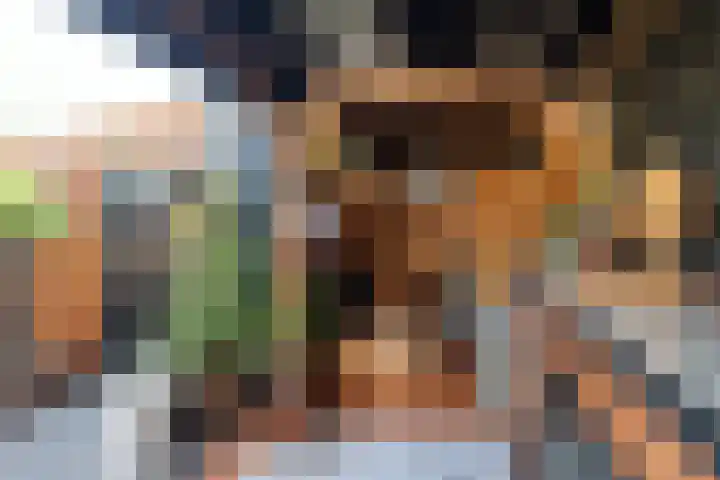Zonnebaars 31 Waddinxveen thumbnail 34