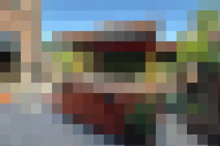 Zonnebaars 31 Waddinxveen thumbnail 36