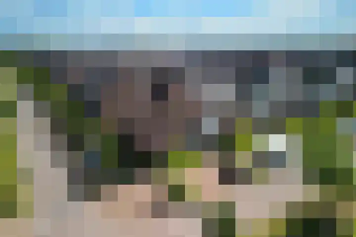 Zonnebaars 31 Waddinxveen thumbnail 38