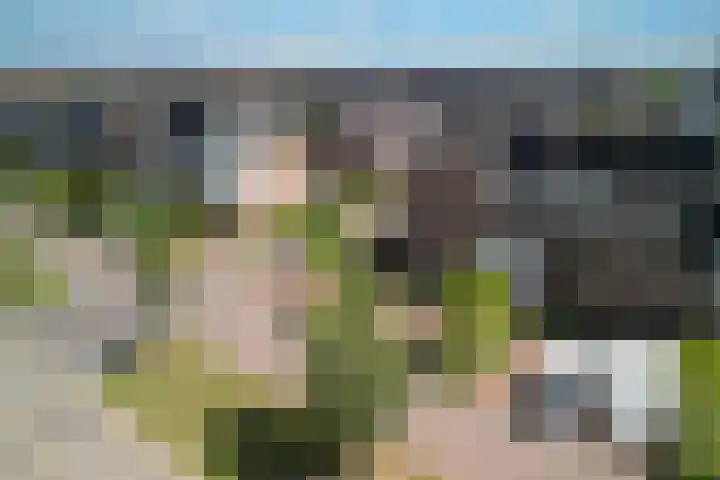 Zonnebaars 31 Waddinxveen thumbnail 39