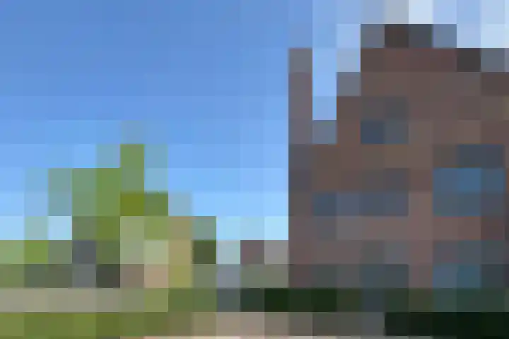 Zonnebaars 31 Waddinxveen thumbnail 4