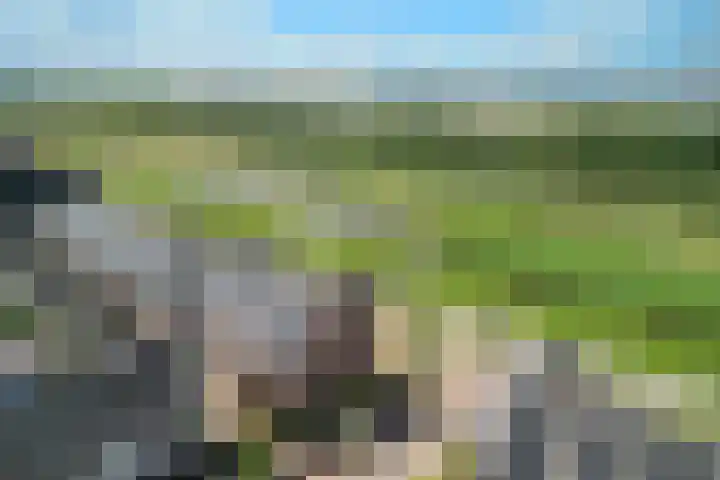 Zonnebaars 31 Waddinxveen thumbnail 40