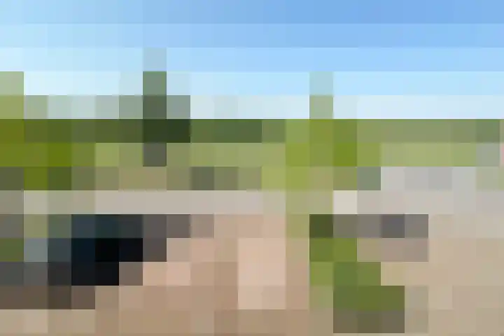 Zonnebaars 31 Waddinxveen thumbnail 41