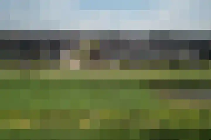Zonnebaars 31 Waddinxveen thumbnail 42