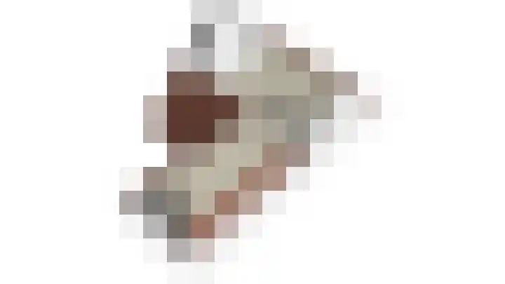 Zonnebaars 31 Waddinxveen thumbnail 48