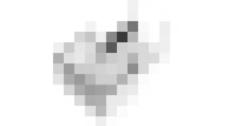 Zonnebaars 31 Waddinxveen thumbnail 56
