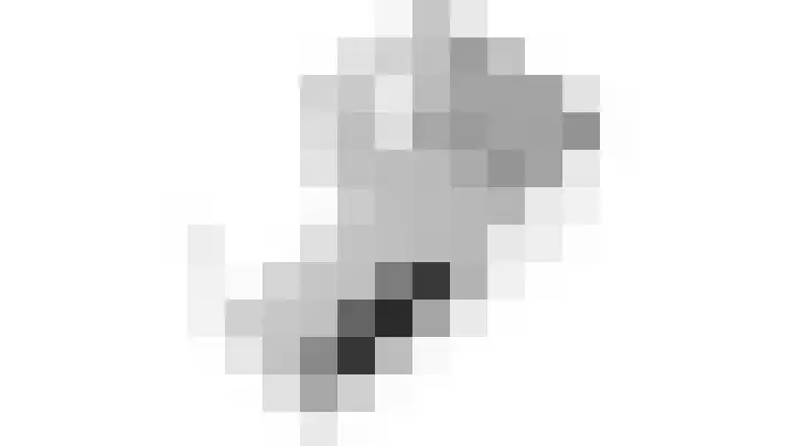 Zonnebaars 31 Waddinxveen thumbnail 57