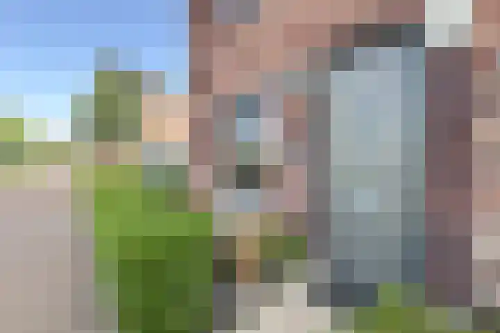 Zonnebaars 31 Waddinxveen thumbnail 7
