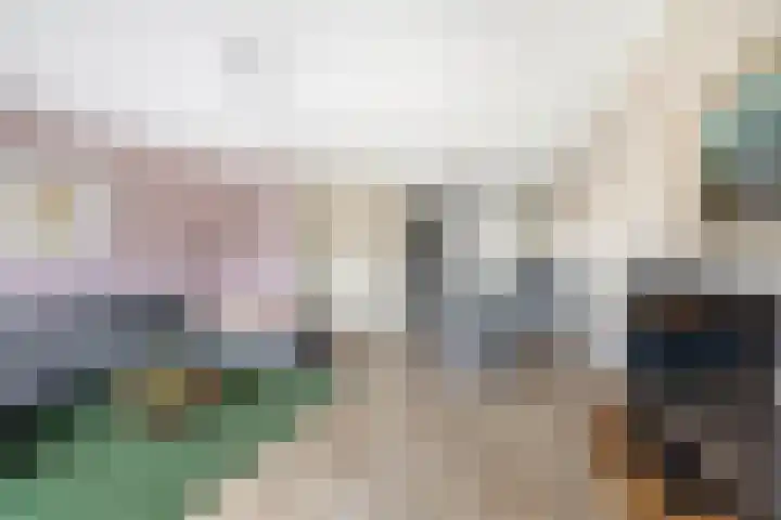 Zonnebaars 39 Waddinxveen thumbnail 10