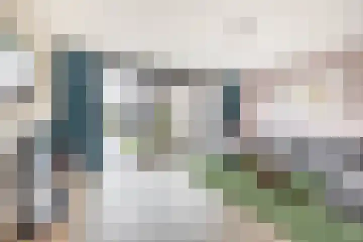 Zonnebaars 39 Waddinxveen thumbnail 11