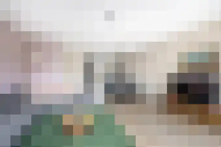 Zonnebaars 39 Waddinxveen thumbnail 12